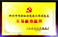 2021年9月广西鲁板科技集团五星党组织授匾仪式